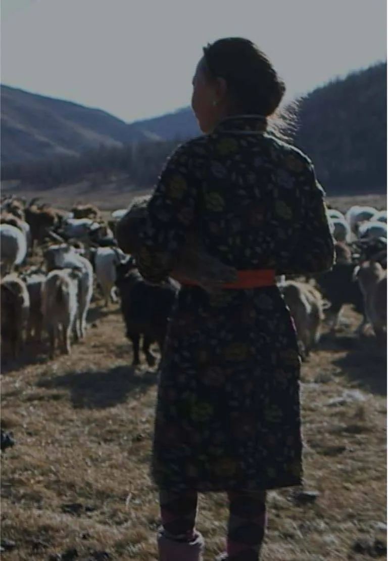 Himalayan herder community — source of our cashmere